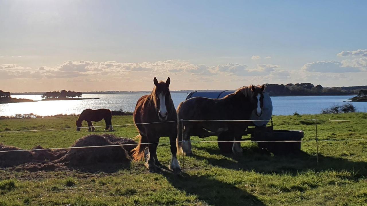 Maison Golfe Du Morbihan - Vue Mer - Plage A 600M - 6 Chambres Séné Kültér fotó